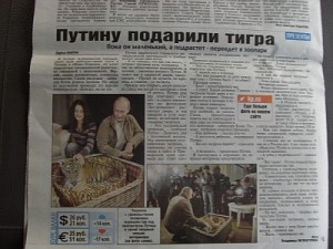 (300x400) ロシアの新聞記事 「プーチン首相、虎を贈られる」